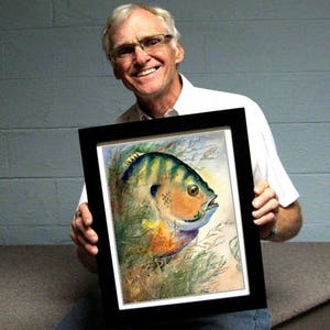 The head of a bluegill watercolor illustration by famous fish artist Barry Singer