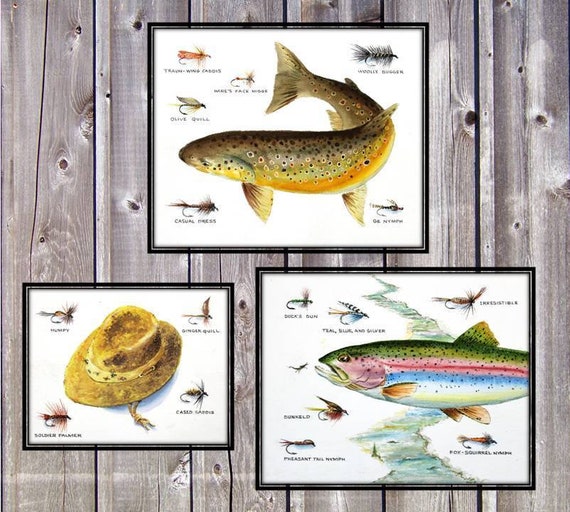 Rainbow trout Fish with flies Watercolor 8.5 X 11 Cottage Decor print for  the fly Fisherman by artist Barry Singer Flyfishing art