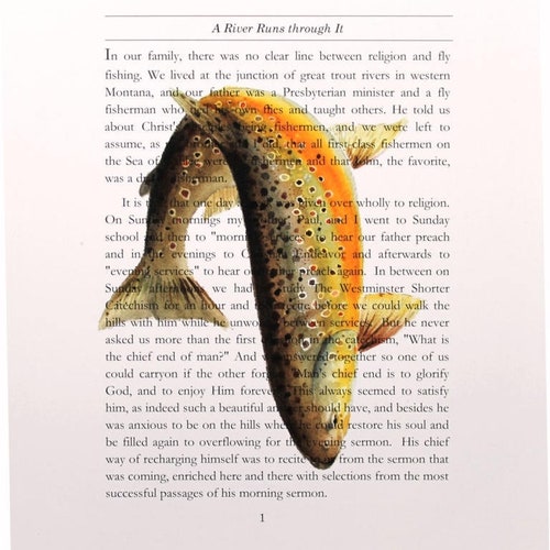 A River Runs through It first page Norman Maclean 8"X10" Brown Trout Art Print fly fishing