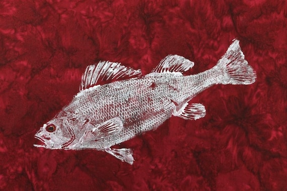 Original Perch GYOTAKU Fish Rubbing Art on Deep Rich Red Cloth Lake House  Fishing Cottage Decor by Barry Singer 