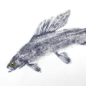 May include: A black and white illustration of a fish with a yellow eye. The fish is drawn in a detailed style, with scales and fins visible.