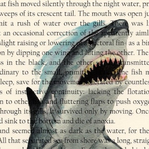 Great White Shark Jaws with blood 8 X 10 50th anniversary Watercolor Fish Art print Peter Benchley book Movie illustration by Barry Singer