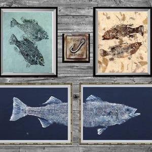 an arrangement of Gyotaku fish art on a wall including Front and back half of a striped Bass Gyotaku fish rubbing. White ink on a navy-blue background.