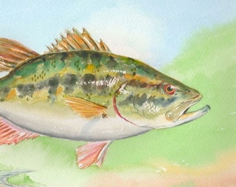 ORIGINAL Large Mouth Bass fish Watercolor Painting fisherman gift Lake House Decor 8" X 12"  Art  by Barry Singer