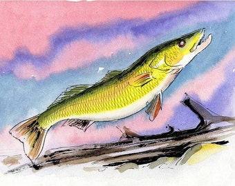 ORIGINAL Walleye Fish Watercolor Painting 7.5 X 10.5 Lake House, Cottage decor by Barry Singer