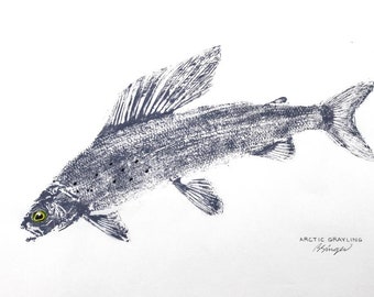 GYOTAKU fish Rubbing Arctic Grayling 8.5 X 11 quality Fly Fishing Art Print by artist Barry Singer