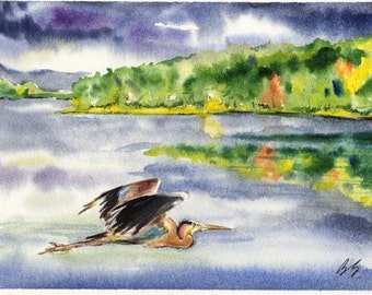 Great Blue Heron Bird Cottage Lake House decor watercolor art print by Barry Singer