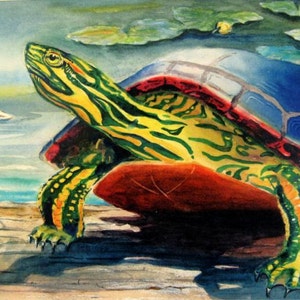 Painted Turtle on a Log cottage Water color décor Pond Lake art print 8X10 or 11X14 by Barry Singer