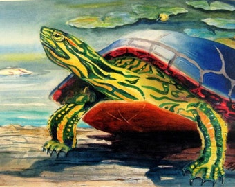 Painted Turtle on a Log cottage Water color décor Pond Lake art print 8X10 or 11X14 by Barry Singer