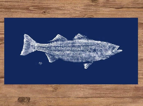 35 Inch Striped Bass GYOTAKU Fish Rubbing Wall Art on Navy Cloth Coastal  Striper Beach House Fishing Gift for Dad 