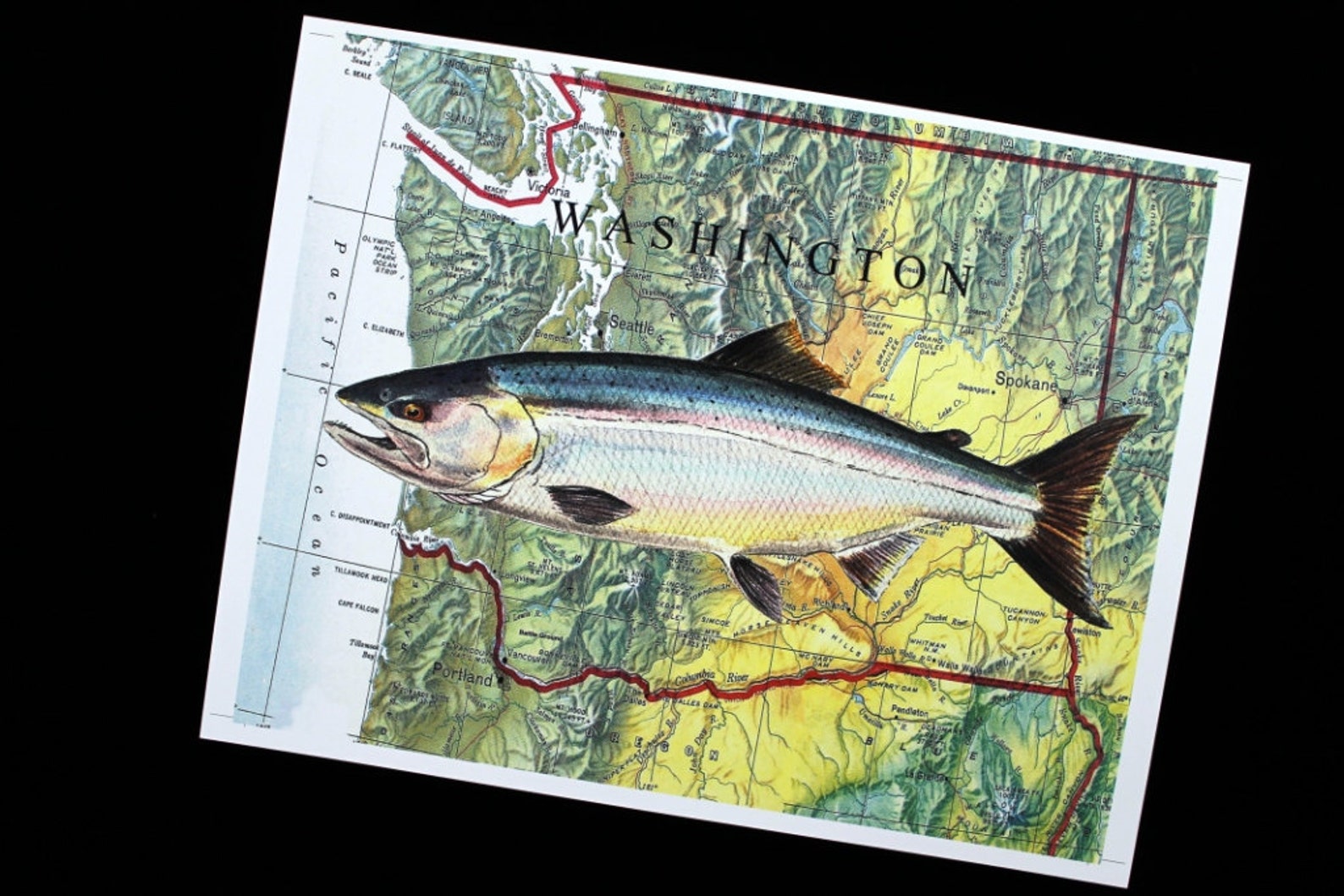 Washington Salmon Fish Art Watercolor Painting on 8X10 Map Etsy