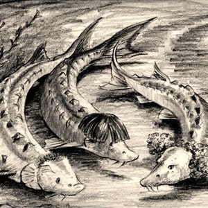 Three Sturgeons Larry, Moe, and Curly The Three Stooges Comedy Parody 8X10 Fun Fish pencil drawing Fisherman Gift Art Print by Barry Singer