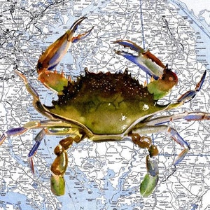 May include: A watercolor painting of a blue crab on a map of the Chesapeake Bay area. The crab is painted in shades of blue, green, and brown, with its claws outstretched. The map is a detailed road map with many roads and towns labeled.