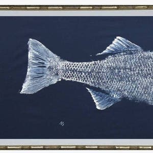 back half of a striped Bass Gyotaku fish rubbing. White ink on a navy-blue background.