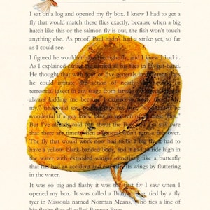 Painting Paul's fishing hat superimposed on a page from the book A River Runs Through it. Illustration of a Bunyan bug fly is in the corner.