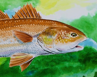 Large size ORIGINAL watercolor painting of a red Fish Red Drum 18X24 Inch by Fishing artist Barry Singer