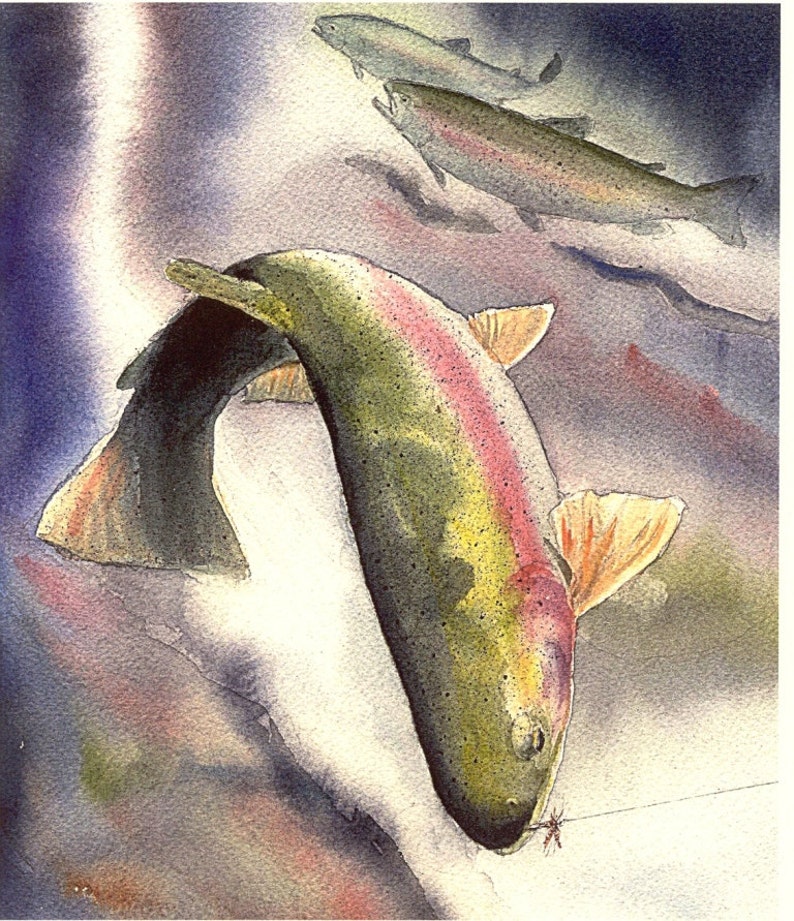 A watercolor illustration of a rainbow trout that has been hooked by a fly fisherman.