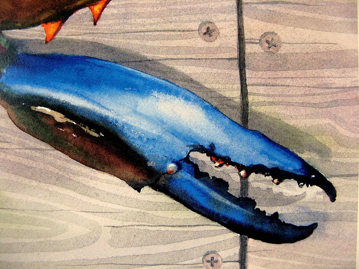 Blue Crab Claw Maryland Delaware Watercolor Art of the Bay Etsy