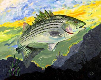 Striped Bass Full color illustration Art print by Barry Singer fits standard 11 X 14 frame Gift for the Fisherman Dad