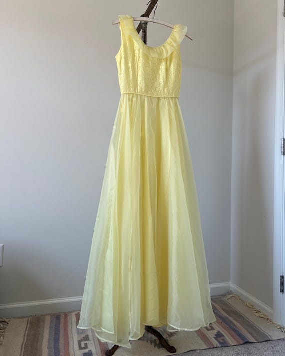 1950s Chiffon Gown - image 1