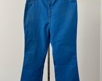 1970s Dickies Blue Denim Pants