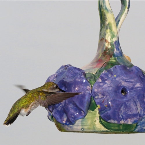 3 Hummingbird Feeder Stopper Cork Tube Wine Beer Size 2 Etsy