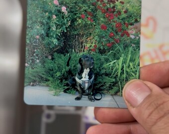 Azulejo fotográfico personalizado, impresión metálica sublimada, aventura personalizada