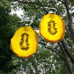 Real fruit earrings | Kiwi Earrings | dangle earrings | real fruit jewelry | dried fruit | interesting earrings