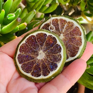Lime Earrings | fruit earrings | dried fruit jewelry | unique earrings | real fruit jewelry | resin earrings | real fruit earrings | citrus