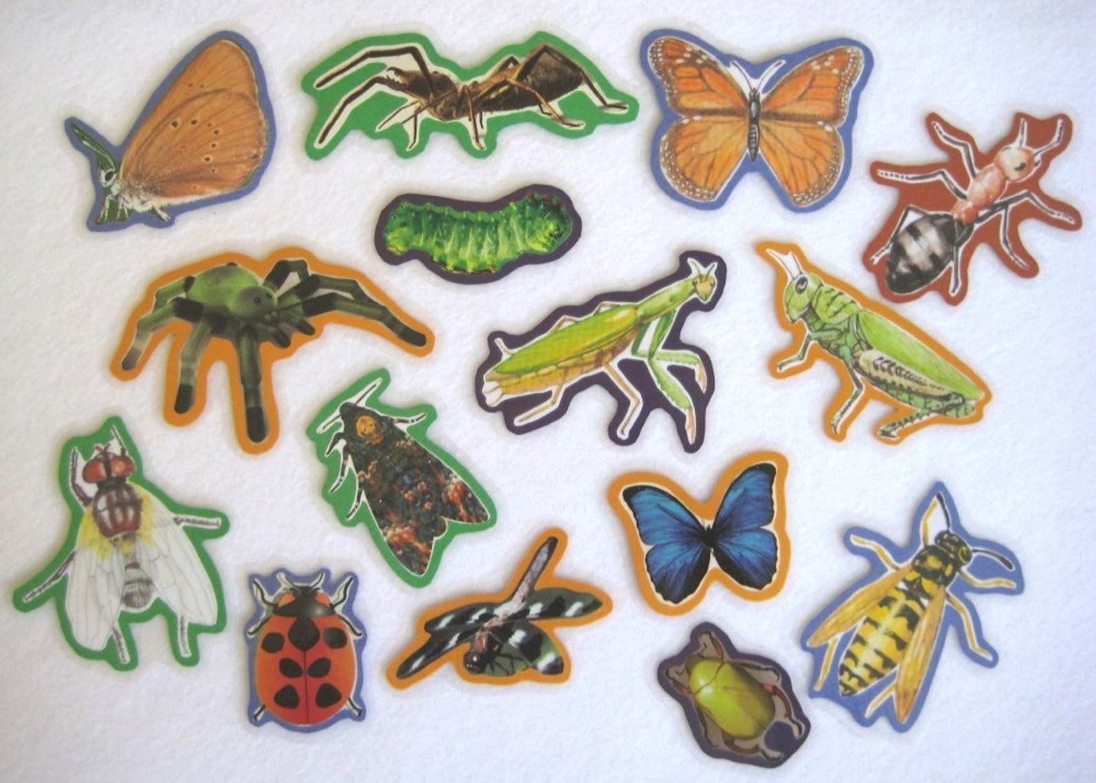 Insects Felt Board Bugs Flannel Board Set Science Felt Set Etsy