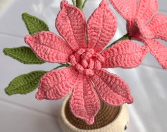 Crochet Flower Pot Pattern: PDF (UK Terms), Smiling Potted Flower Amigurumi, Crochet Plant Decor, Digital Download Gift Idea