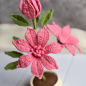 May include: A handmade crochet flower arrangement featuring pink flowers and green leaves. The flowers are in a small, off-white crocheted pot. The arrangement includes a fully bloomed flower, a closed bud, and a single flower.