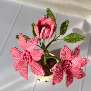 May include: A handcrafted crochet flower arrangement featuring pink flowers and green leaves in a small, off-white pot. The flowers have detailed petals, and the leaves have a textured appearance. The arrangement is a decorative item.