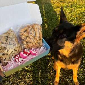 Dog treat box
