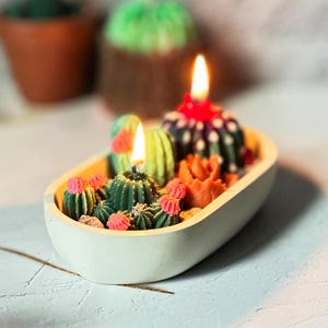 Cactus Candle Succulents Soy Candle Gift Soy Wax Candle Unique Gift Succulent Garden Candle Home Decor