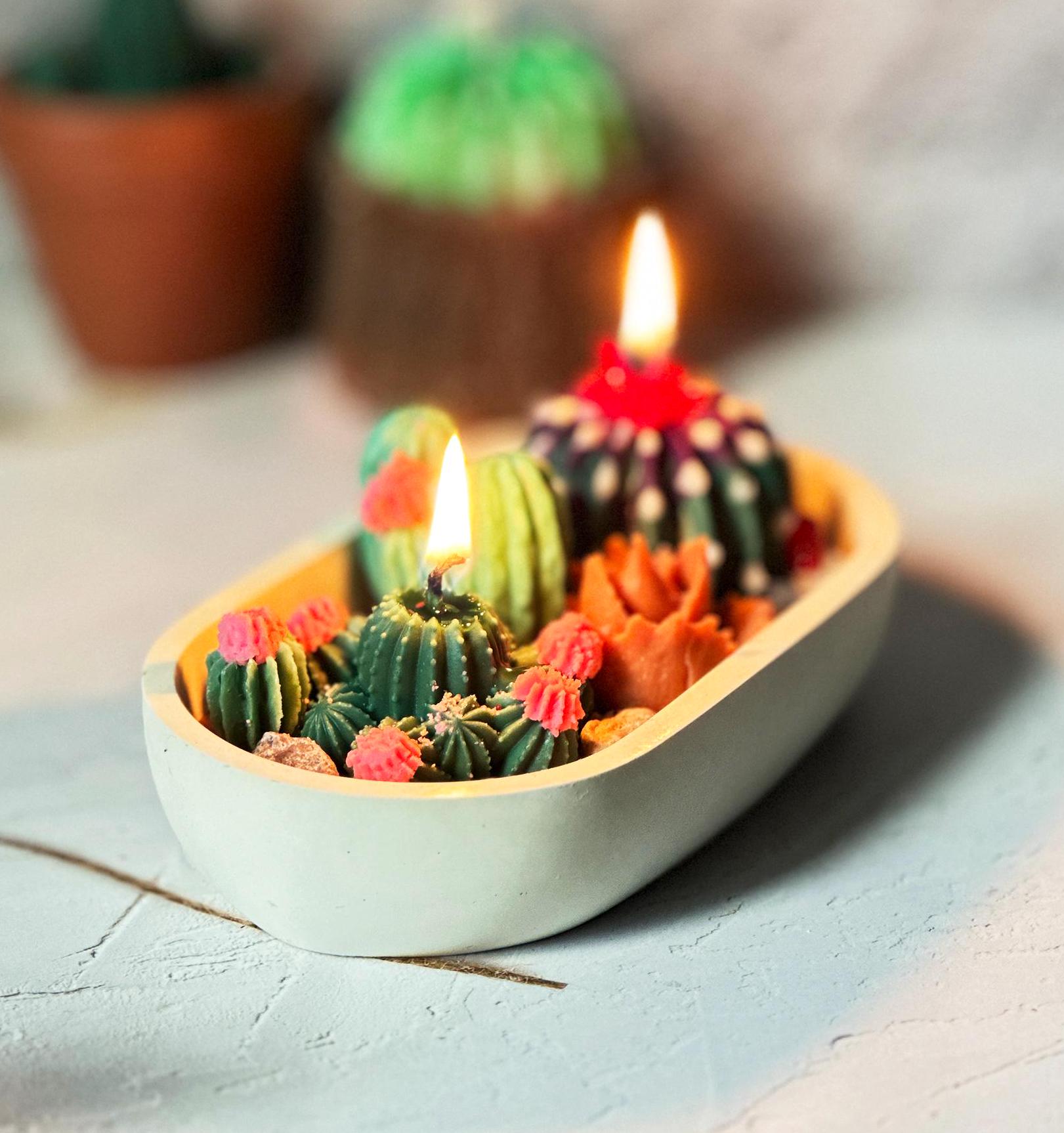Succulent Garden Candle: Cactus Flower & Jade Scented Soy Wax - Etsy Israel