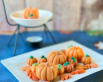 Pumpkin Wax Melts Scented Natural Soy Wax Autumn Wax Melts Home Decor Gift for Her