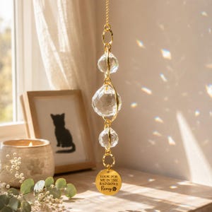 May include: A hanging suncatcher featuring three clear faceted crystal spheres connected by gold-toned metal rings. A round gold-toned metal pendant hangs at the bottom, engraved with the text: LOOK FOR ME IN THE RAINBOWS, Remy, and a paw print.