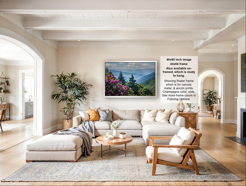The image is a large framed picture of a mountainous landscape, hanging on a wall in a living room.