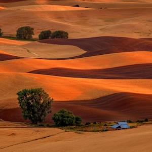 El Palouse al atardecer, campos de trigo en el este de Washington. Fotografía artística.