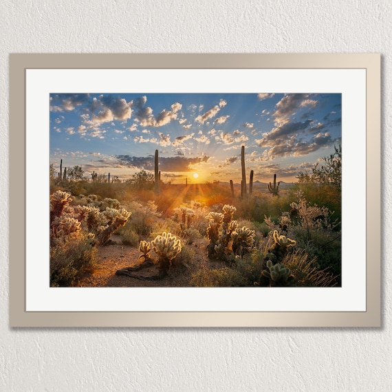 Sonoran desert sunrise, silhouette of saguaro and cholla cactus, photo print