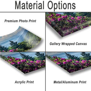 various types of printed materials, including a premium photo print, a gallery wrapped canvas, an acrylic print, and a metal/aluminum print.
