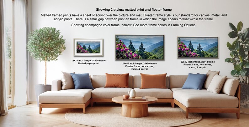 a living room with a large, comfortable couch and a coffee table. There are three framed prints displayed on the wall, each with a different frame style and size. The text provides information about the framed prints, including their sizes and frame styles.