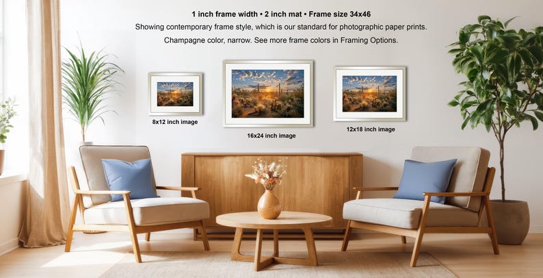a living room with three framed landscape photographs hanging on the wall, arranged in a row. The photographs are of varying sizes, with the largest one being 8x12 inches and the smallest one being 16x24 inches. The room is furnished with two armchairs and a coffee table, and there are potted plants and a vase adding to the decor.