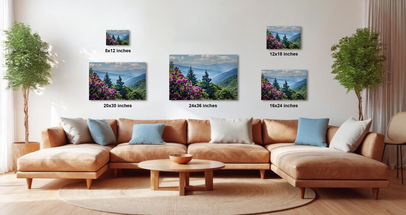 a cozy living room with a large sectional sofa, a coffee table, and several potted plants. The walls are adorned with three framed landscape photographs, each varying in size and depicting different mountainous scenes. The photographs are arranged in a grid-like pattern, with the largest one at the top and the smallest at the bottom. The room has a warm and inviting atmosphere, with the furniture and decor complementing the natural beauty of the landscape images.