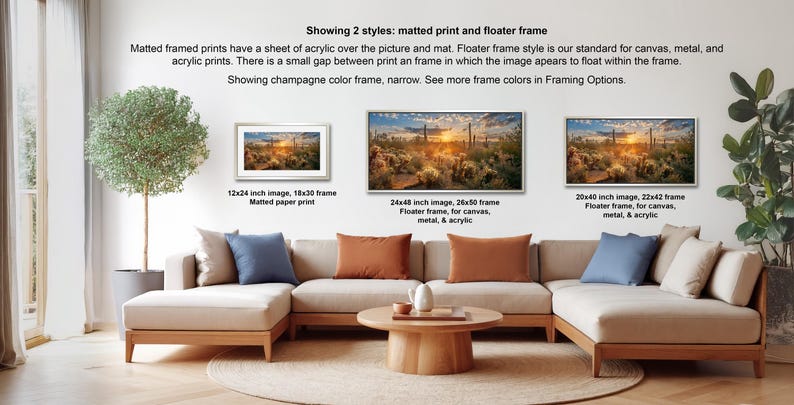 a living room with a large sectional sofa, a coffee table, and a potted plant. There are three framed prints displayed on the wall, each with a different frame style and size. The text provides information about the different frame styles and sizes, including the matting print and floater frame.