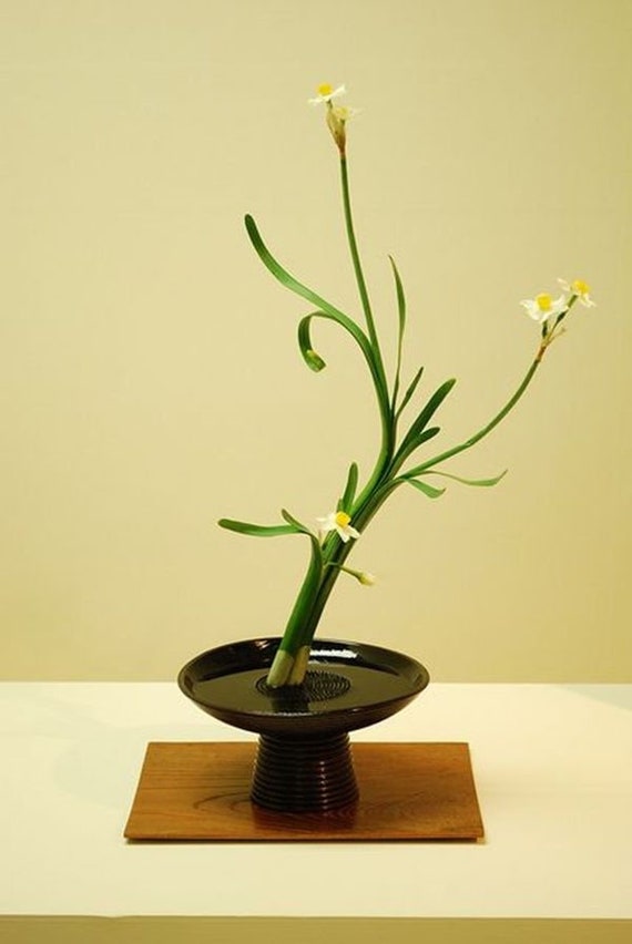 Das Ikebana 4 Pcs Flower Frogs, Rana Per Allestimenti Floreali - 3
