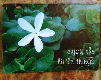 Fridge Magnet, Inspirational Magnet, Photo Magnet, White Jasmine Flower, Positivity Magnet, Locker Cubicle Magnet, Refrigerator Magnet