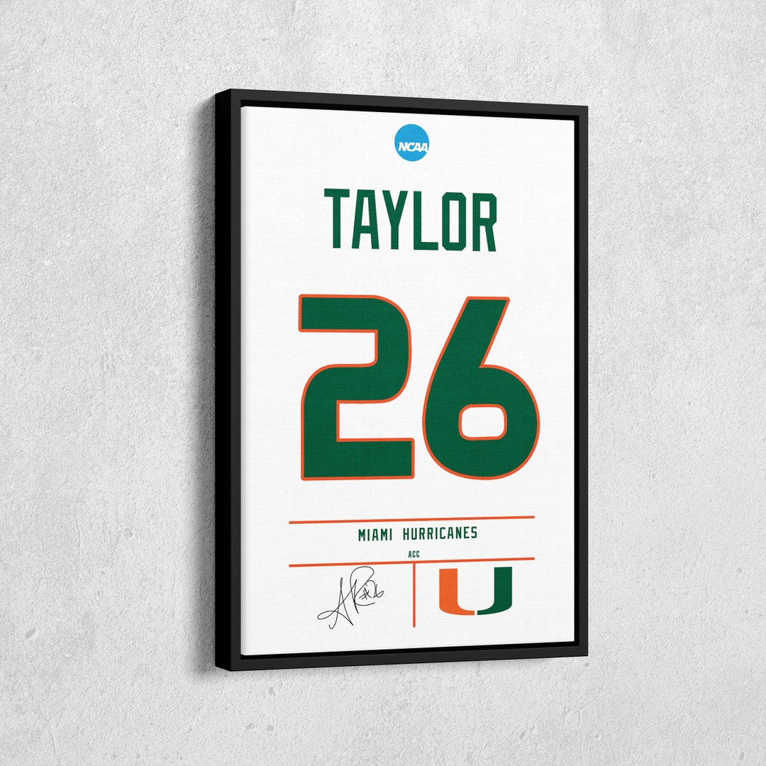 Sean Taylor Jersey Art Miami Hurricanes NCAA Wall Art Home Decor Hand