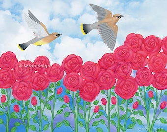 cedar waxwings & roses - signed print 8X10 inches by Sarah Knight, beige gray flying birds, magenta flowers, cerulean blue cloudy sky